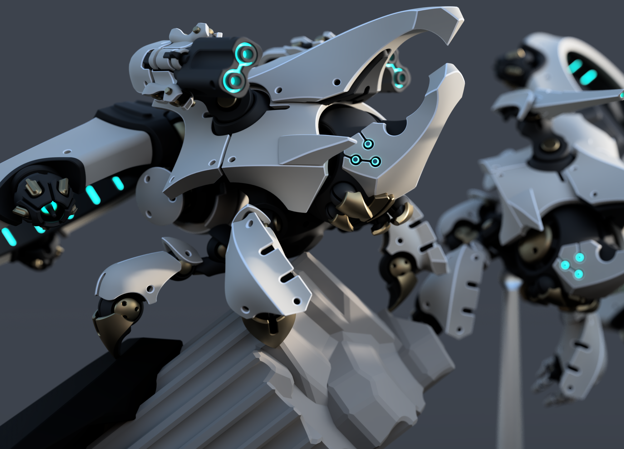 Coleocor [COL] Multi-role Class VoidConstruct